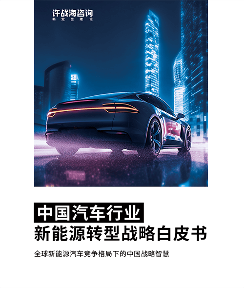 《中国汽车行业新能源转型战略白皮书》